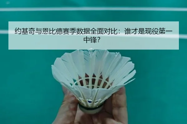 约基奇与恩比德赛季数据全面对比:谁才是现役第一中锋?